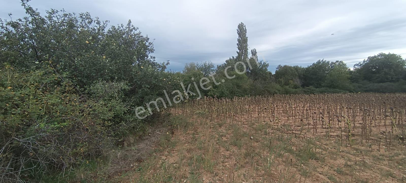 Üsküp Cevatpaşada 4173m2 Tarla - Görsel 5