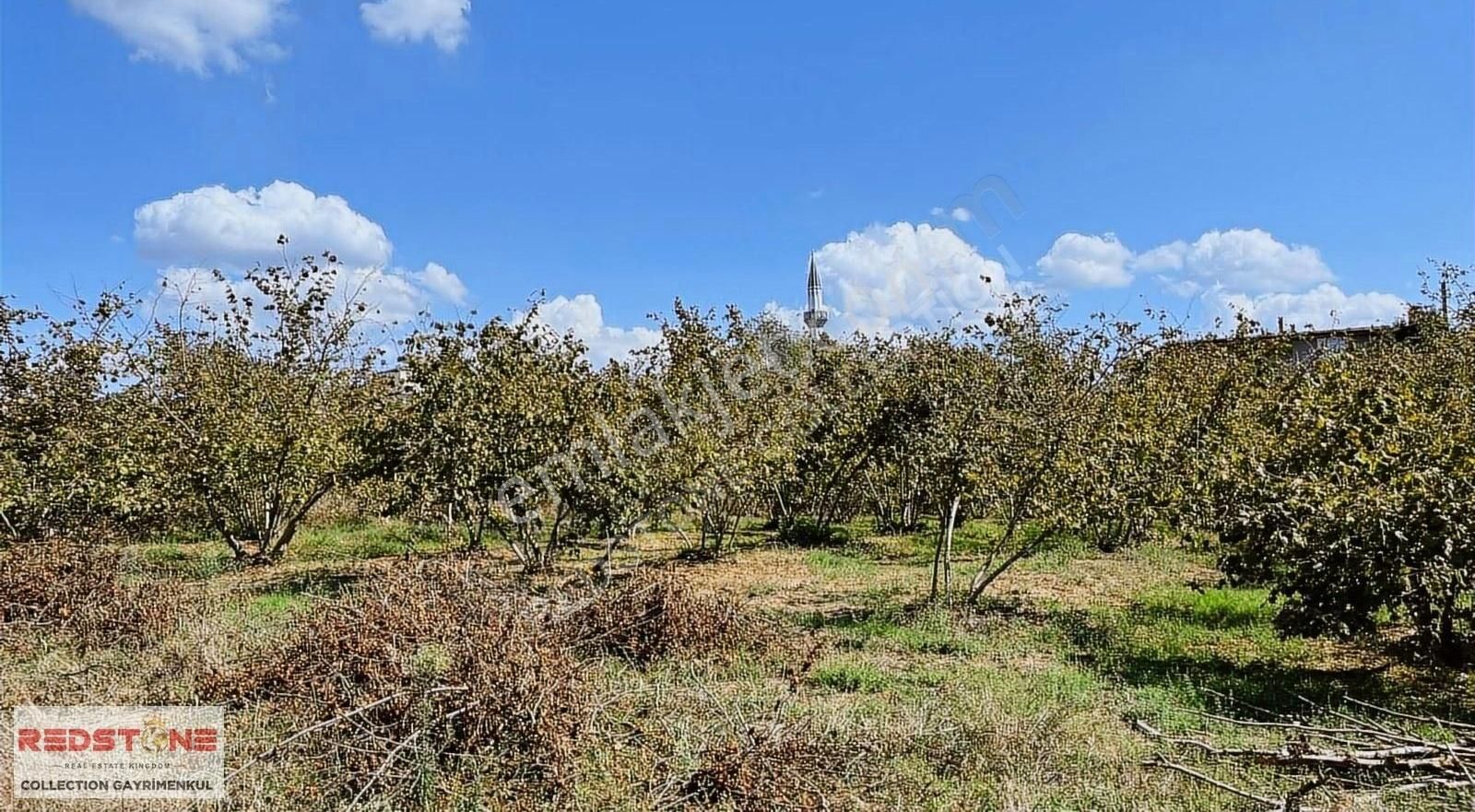 Hendek Başpınar Satılık Tarla Hendek En Güzel Yerinde 2504 M2 Mükemmel Satılık Arazi