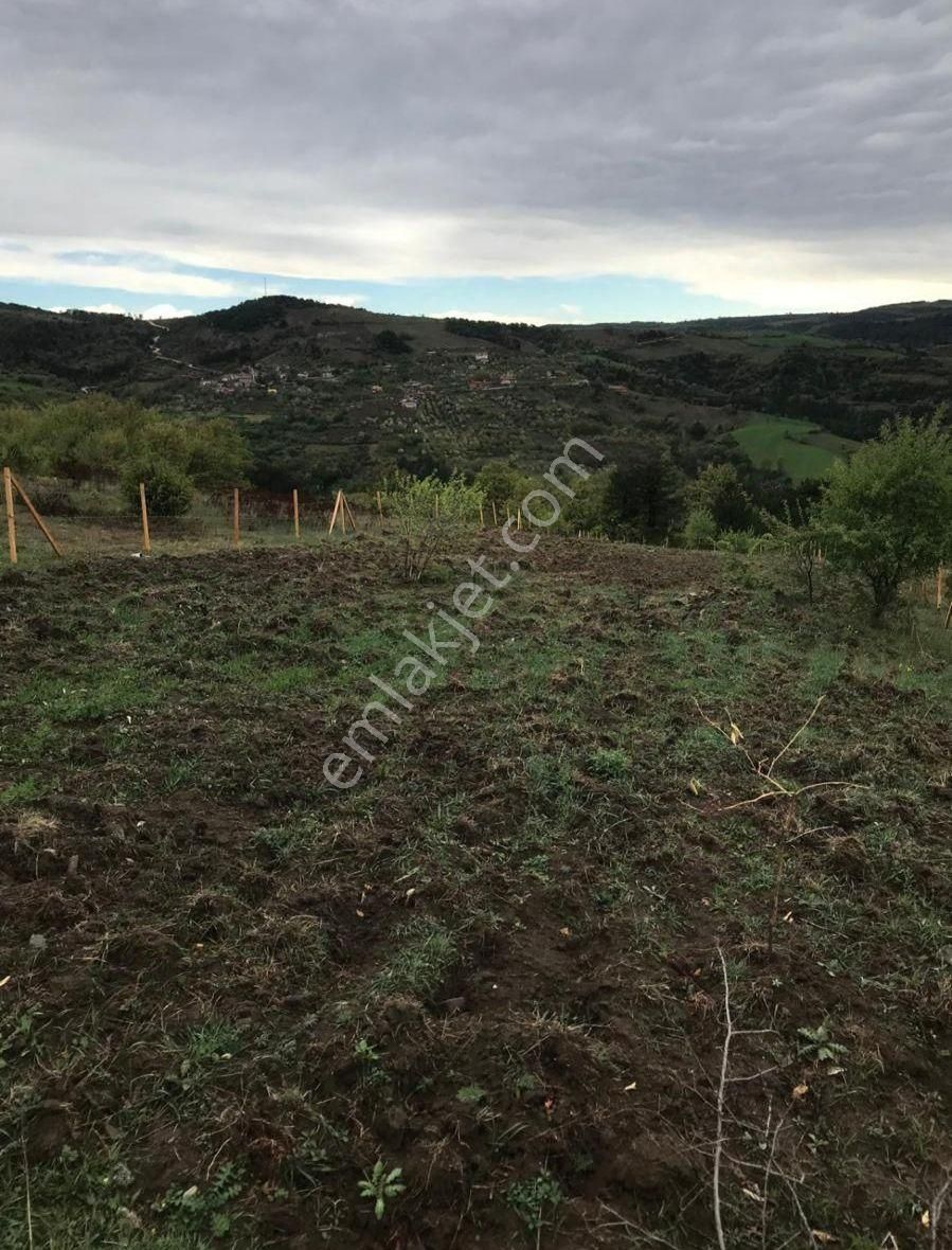 Taraklı Pirler Satılık Tarla Bura'dan Doğa İle Başbaşa Verimli Tarla