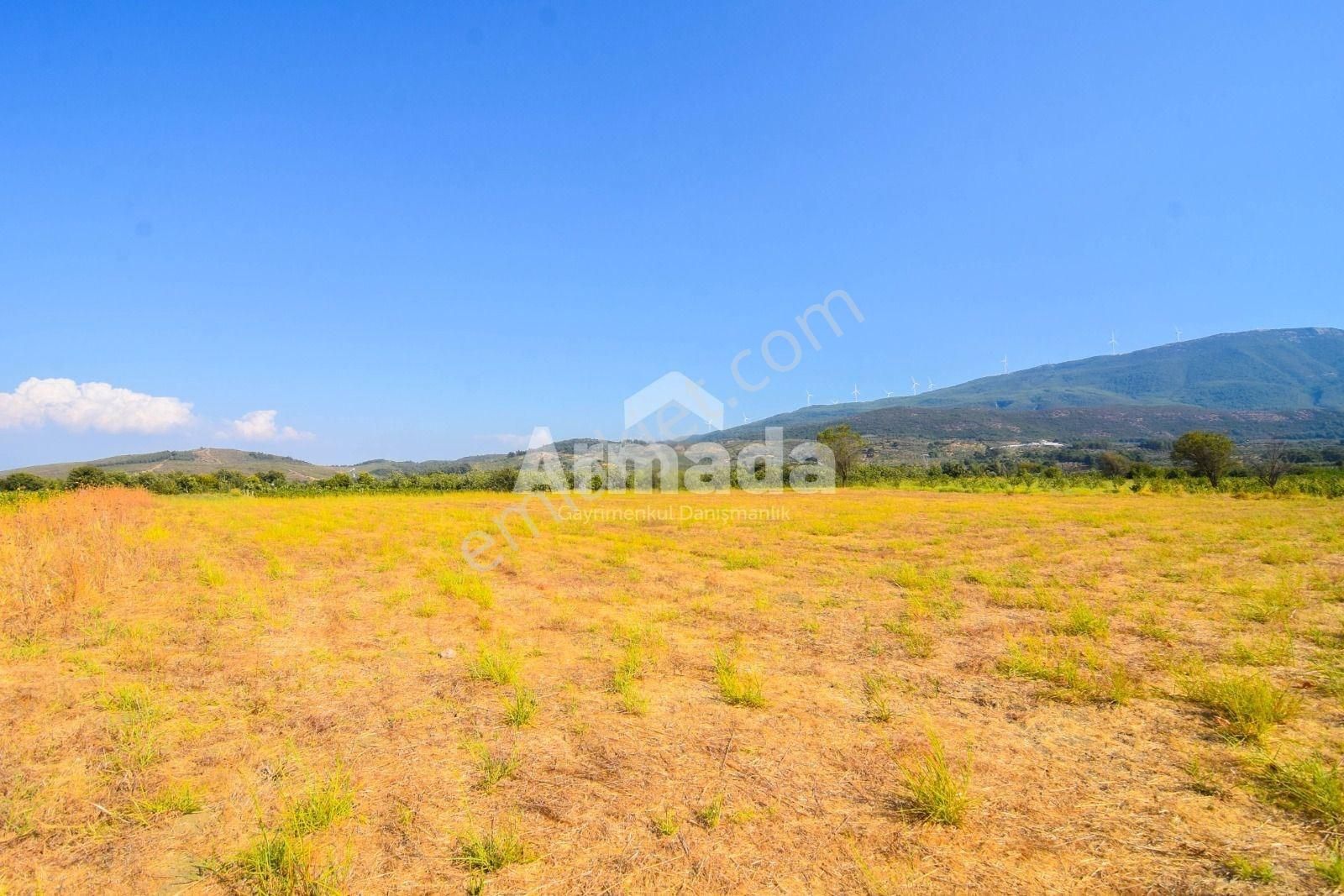 Selçuk Gökçealan Satılık Tarla Gökçealan'da Satılık Tarla