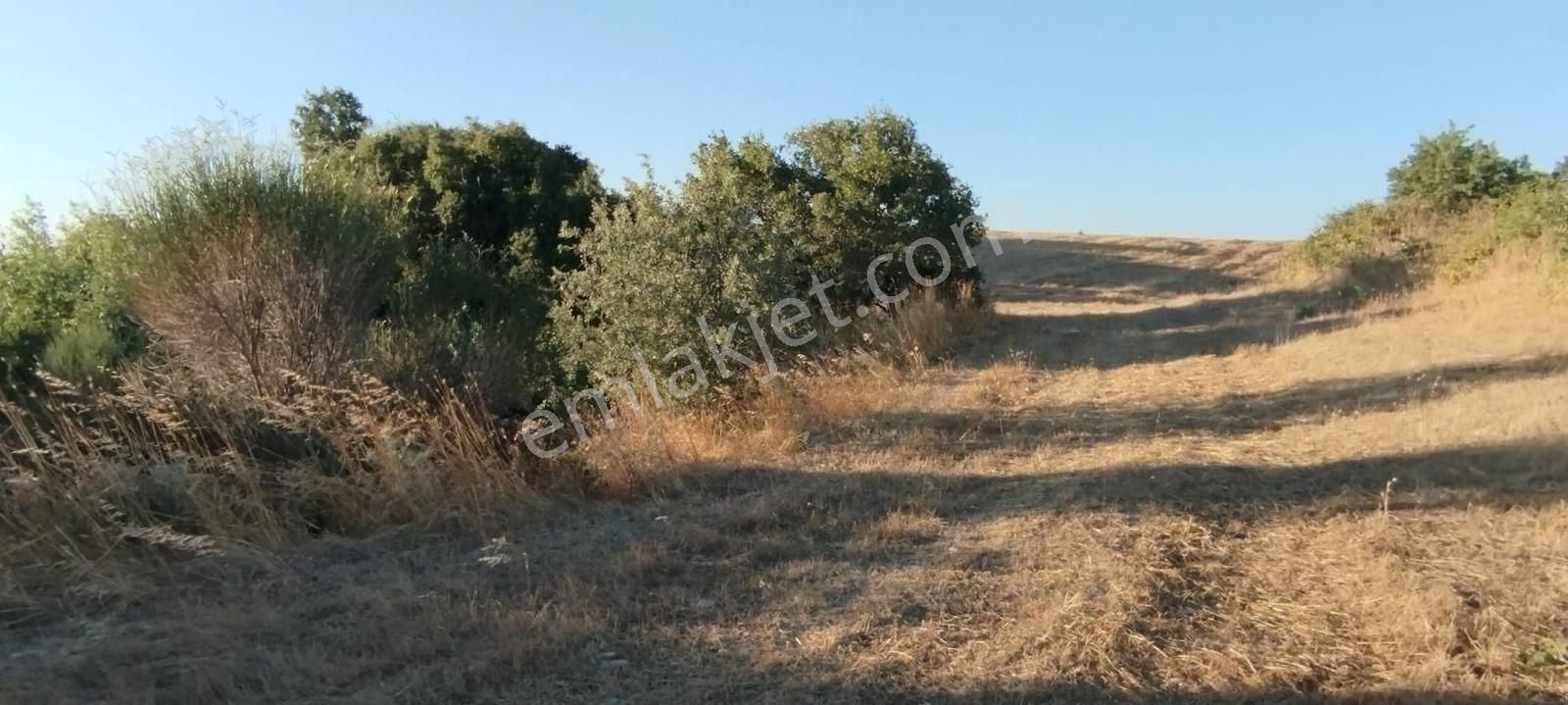 Çanakkale / Lapseki / Mecidiye Köyü Satılık Arazi
