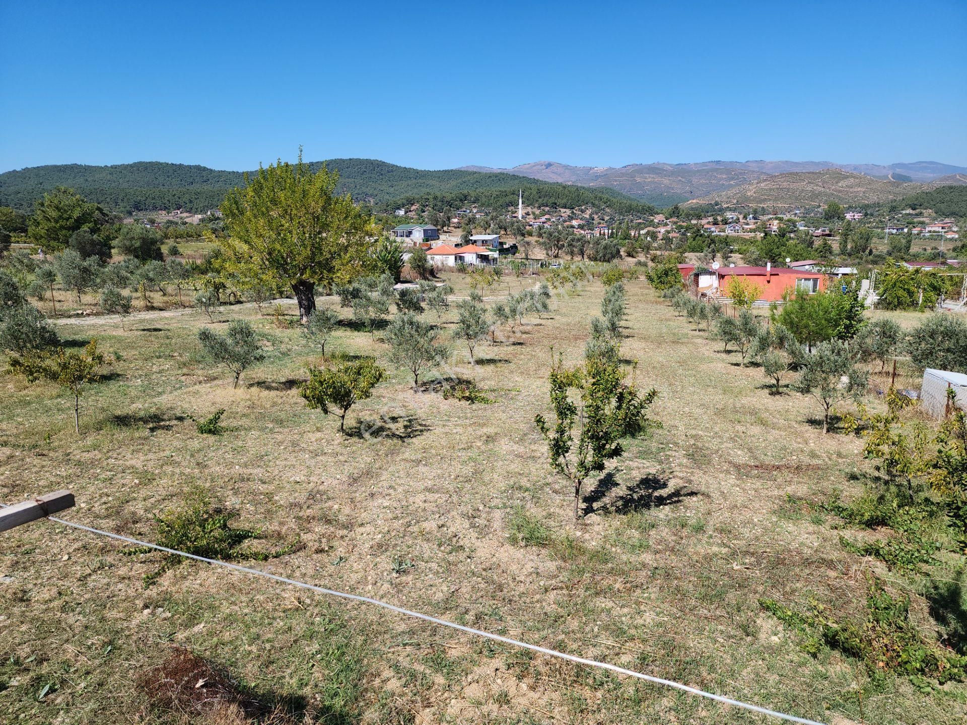 Menderes Yeniköy Satılık Tarla  İzmir Menderes Yeniköy’de Muhteşem Konumda Arsa 