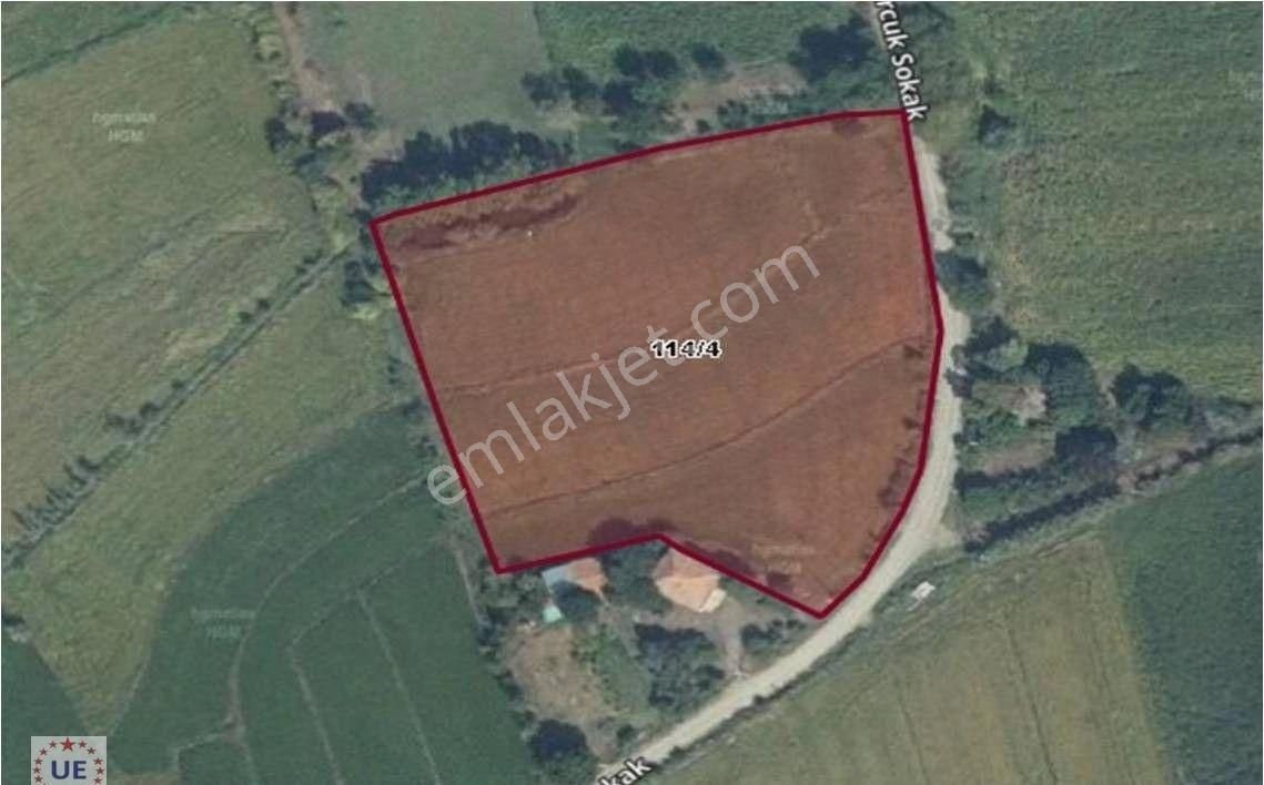 Uygun Dan Bafra Taşköprü Köyünde Kiralık Yol Su Elektrik Olan 10.300 M² Tarla