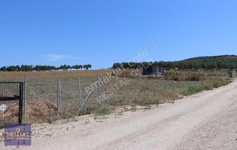 Bursa Mudanyada Anayola Cephe Satılık Tarla - Görsel 5