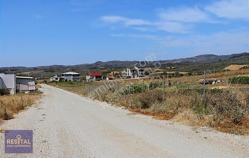 Bursa Mudanyada Anayola Cephe Satılık Tarla - Görsel 2