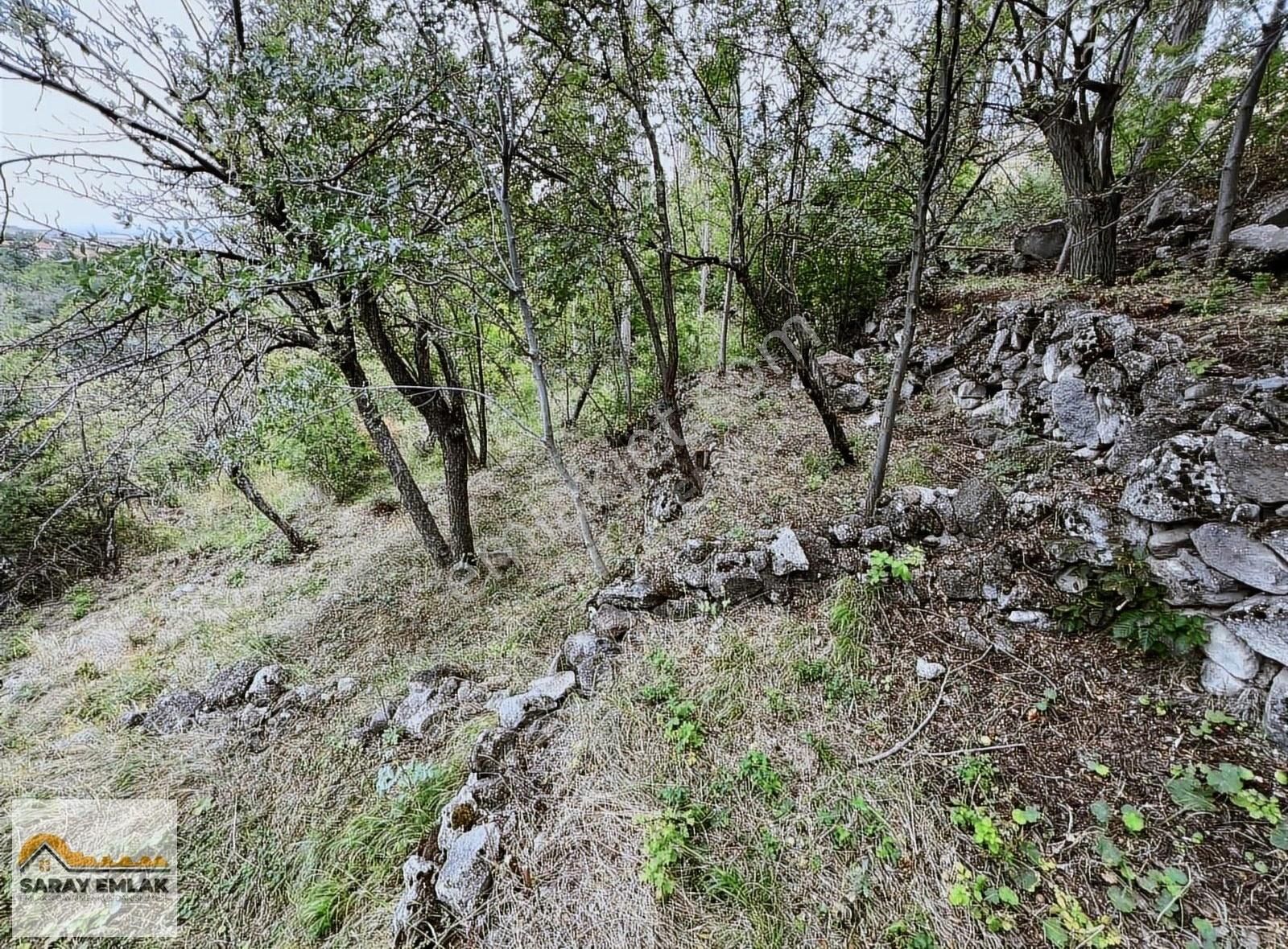 Niğde Merkez Kırkpınar Köyü Satılık Bağ & Bahçe SARAY EMLAK'TAN SATILIK NİĞDE KIRKPINAR KÖYÜNDE HOBBY BAHÇESİ