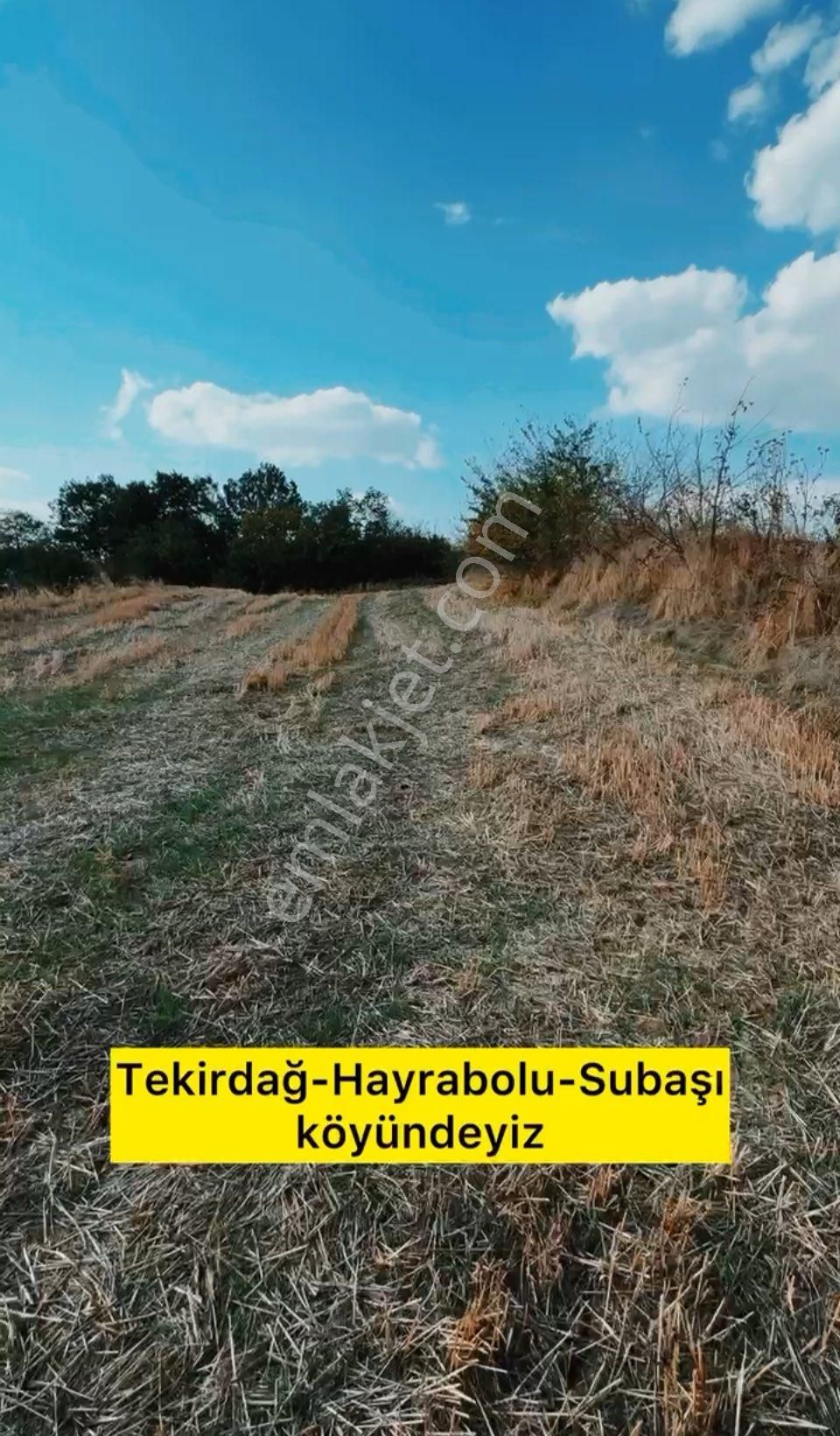 Hayrabolu Subaşı Satılık Tarla Tek tapu yolu var