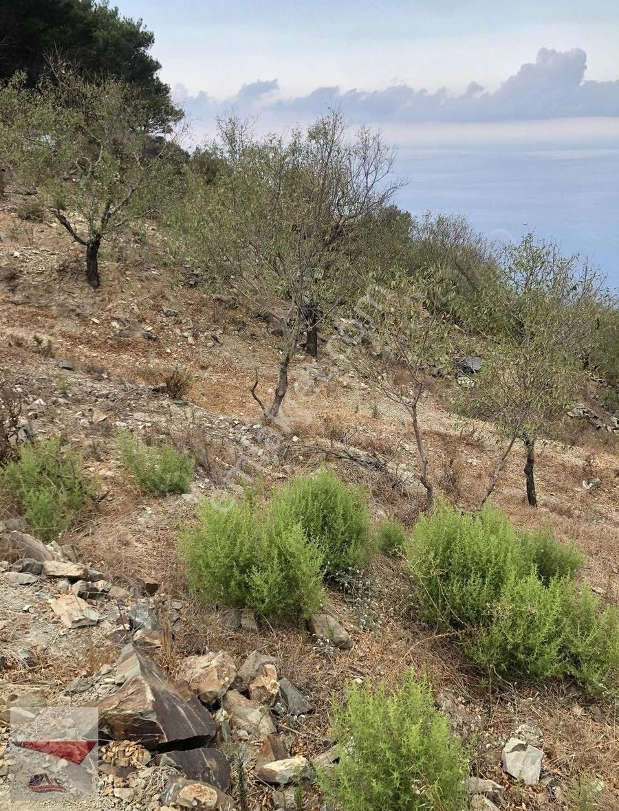 Anamur Çamlıpınaralanı Satılık Muhtelif Arsa Denizi Ve Manzarayı Bukadar Güzel Gören Nadir Bir Nokta