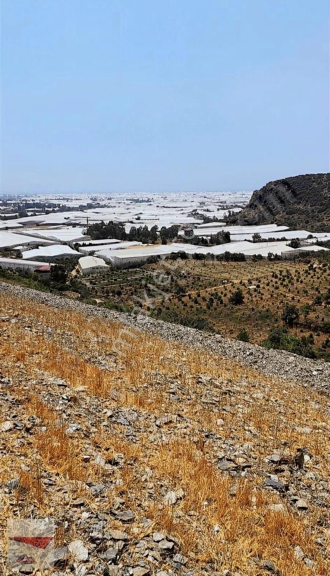 Anamur Emirşah Satılık Tarla EMİRŞAH MAHALLESİNDE MÜSTAKİL TAPU 12 DÖNÜM ARAZİ