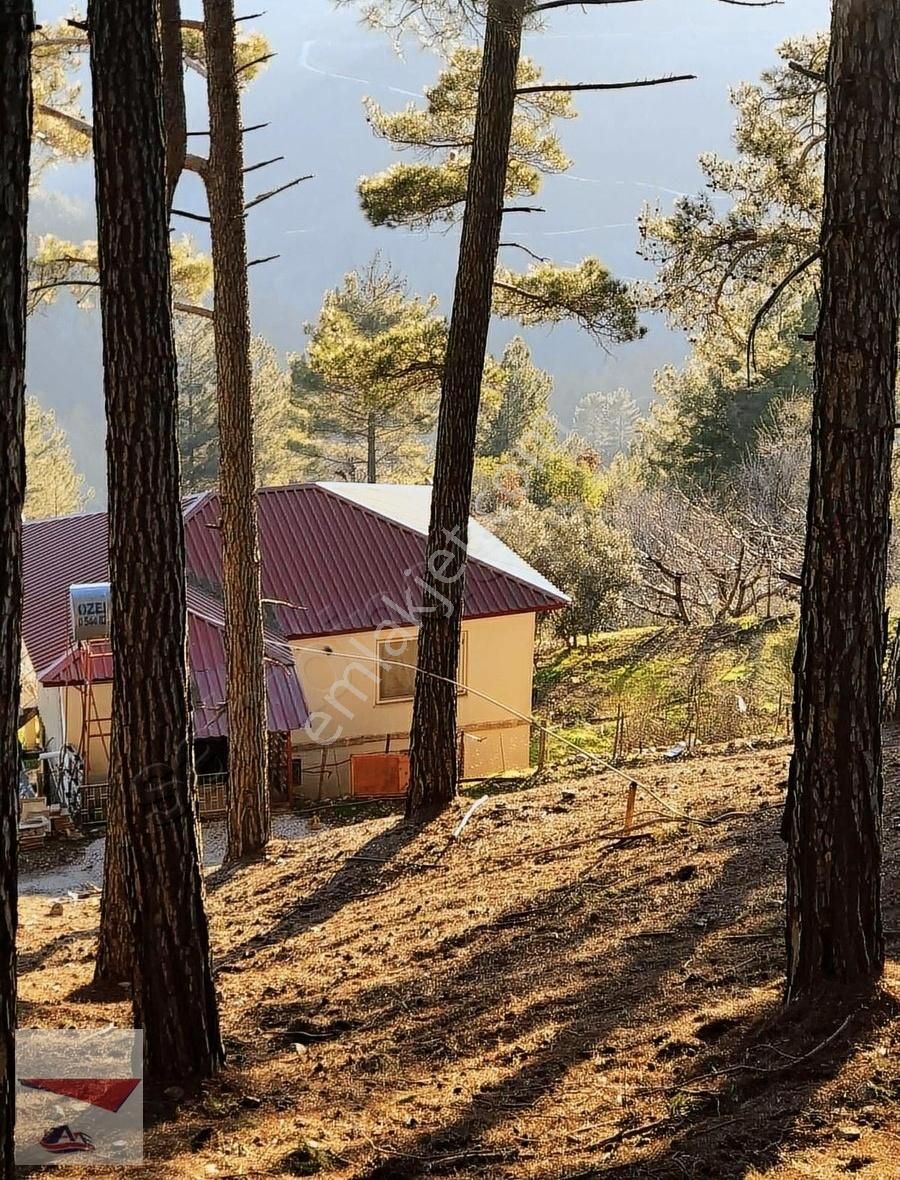 Anamur Karaçukur Satılık Tarla KARAÇUKUR'da KURULU DÜZEN BAHÇE VE EVİ