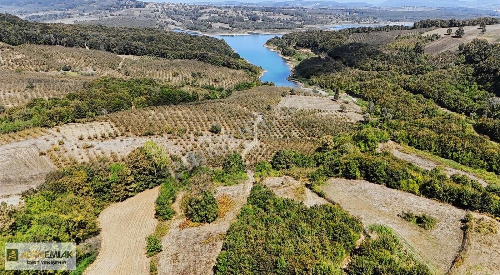 Kandıra Sarnıçlar Satılık Tarla ALTIN EMLAK'tan KANDIRA SARNIÇLARDA HARİKA BİR TARLA