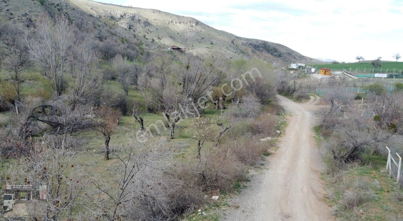 Altındağ Peçenek Satılık Tarla *-*-PEÇENEK TE 800 METRE İSTER BAHÇELİK İSTER YATIRIMLIK-*-*