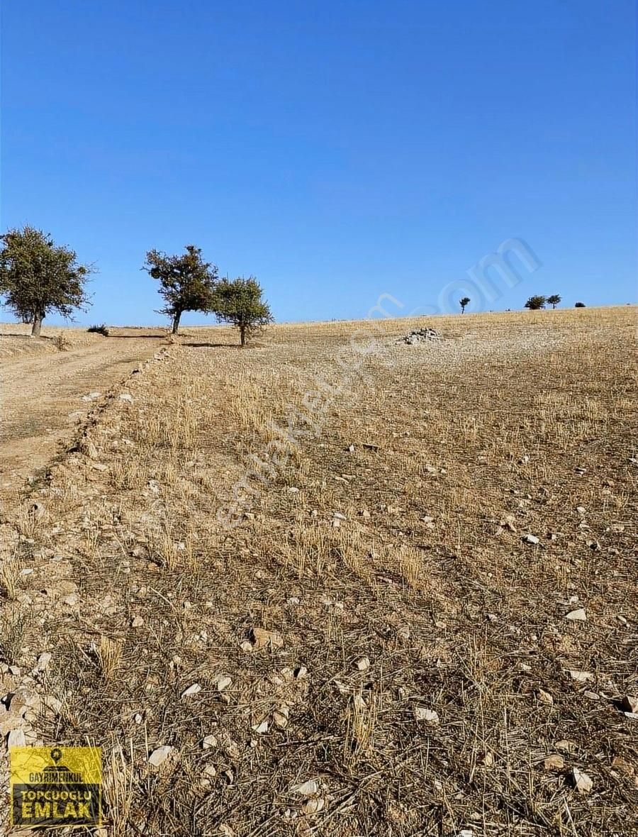Antalya Korkuteli Büyük Köyde Acil Satılık.22.500.metrekare - Görsel 6