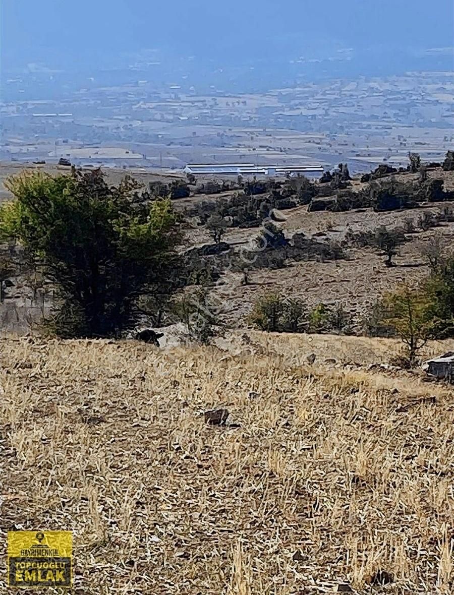 Antalya Korkuteli Büyük Köyde Acil Satılık.22.500.metrekare - Görsel 10