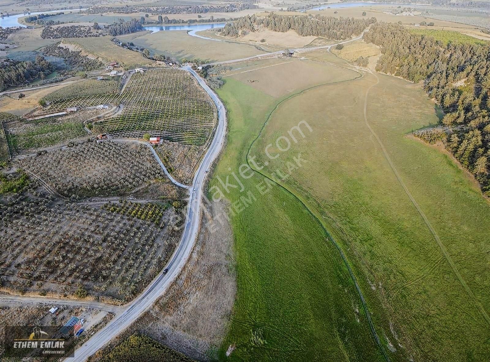 Karaisalı Kırıklı Satılık Tarla ADANA KARAİSALI KIRIKLI DA YOL KENARI SATILIK ARAZİ