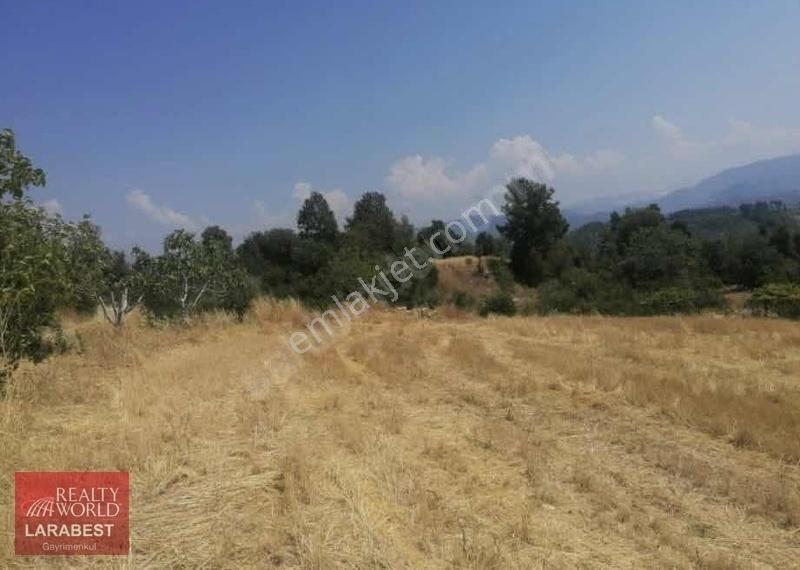 Bucak Karapınar Köyü Satılık Tarla Bucak Antalya yoluna 500mt Yatırımlık Arsa