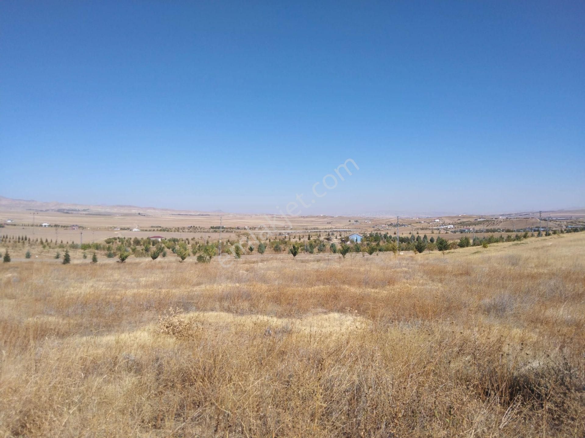 Polatlı Hacıtuğrul Satılık Konut İmarlı Polatlı Hacıtuğrul Mahallesinde Satılık 1 Dönüm Villa Arsası