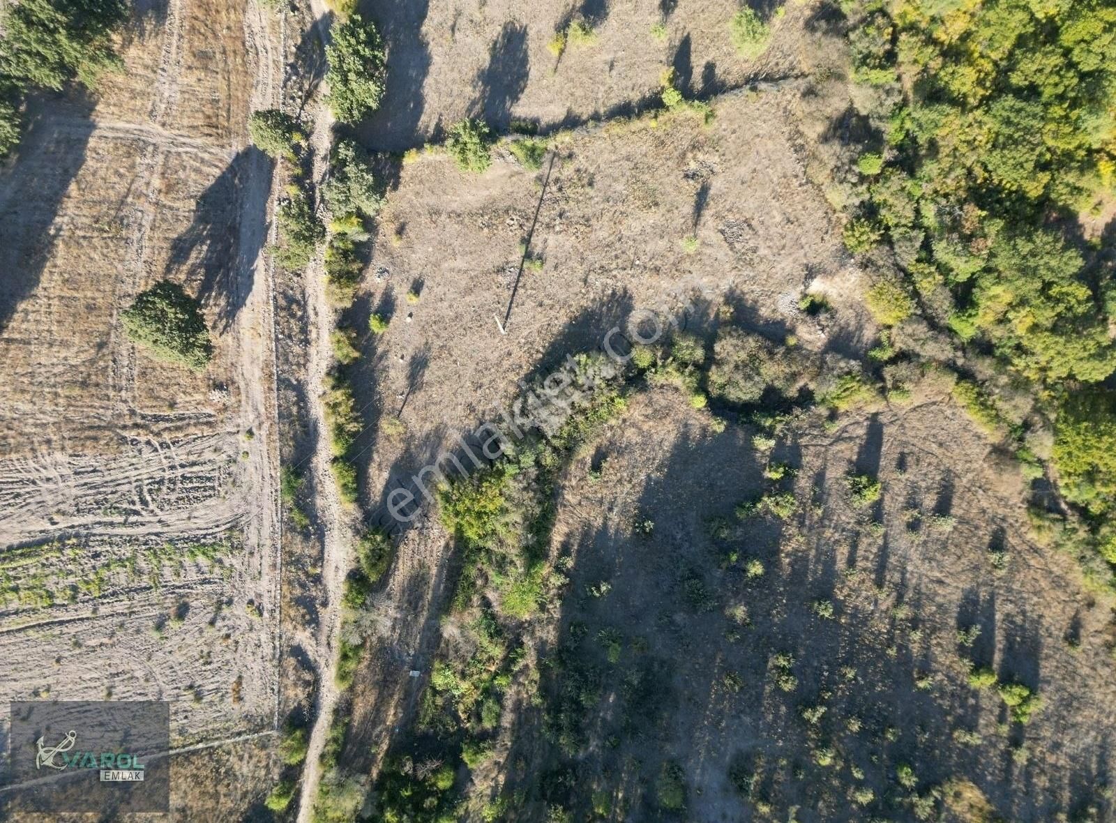 Ayvacık Sapanca Köyü Satılık Tarla ÇANAKKALE AYVACİK SAPANCA KÖYÜNDE TARLA