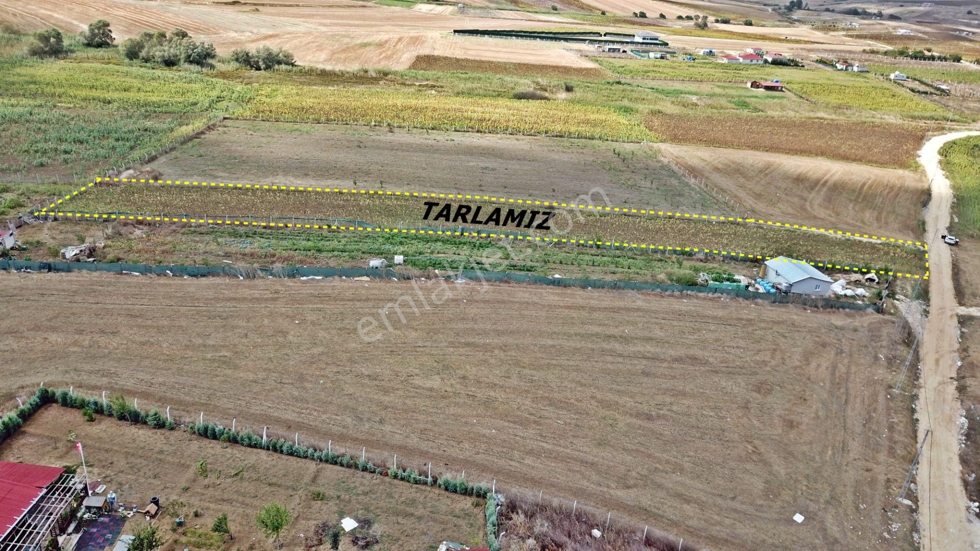 Çatalca Elbasan Mahallesinde 3043 M2 Tek Tapu Tarla - Görsel 4