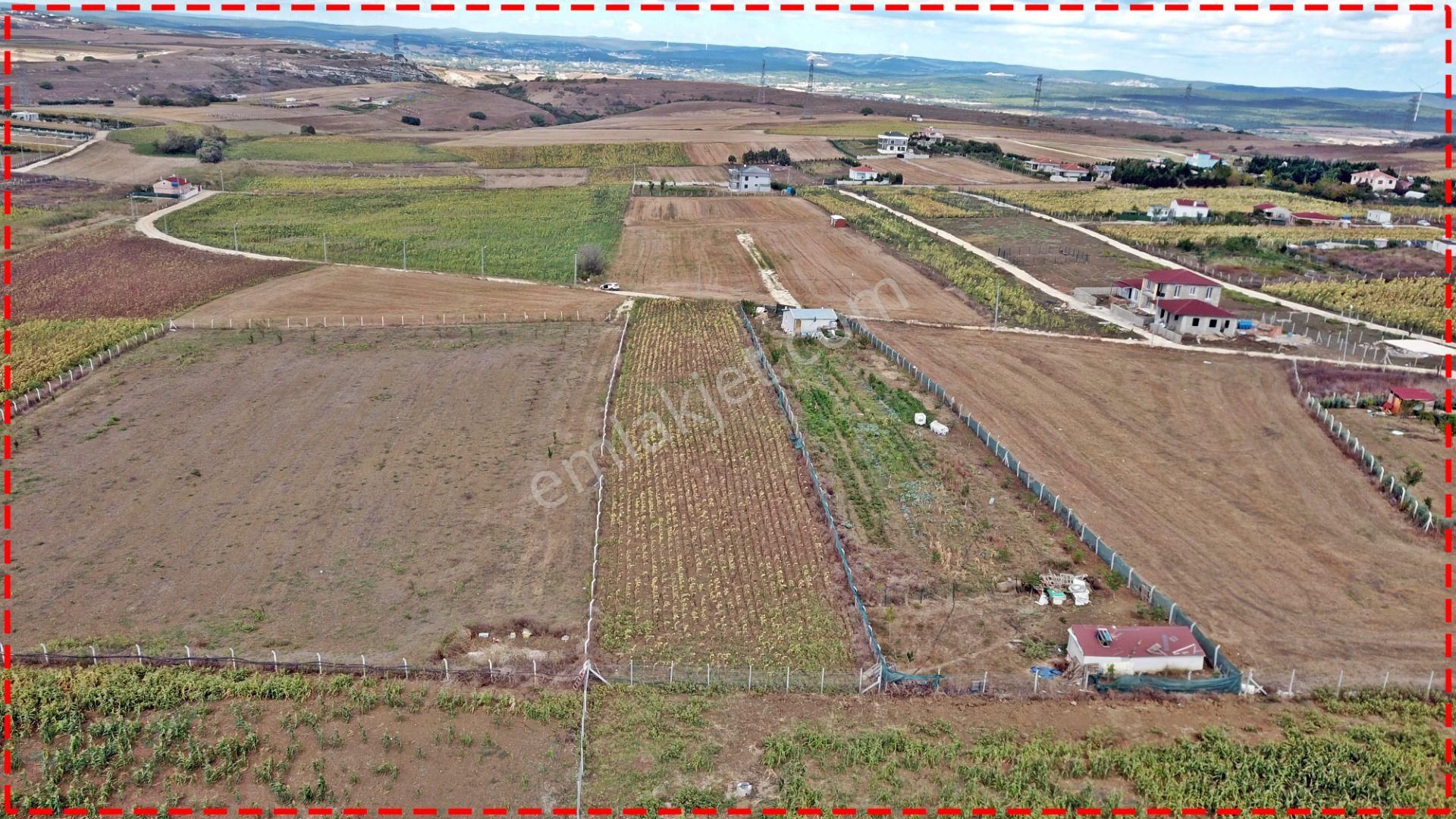 Çatalca Elbasan Mahallesinde 3043 M2 Tek Tapu Tarla - Görsel 7