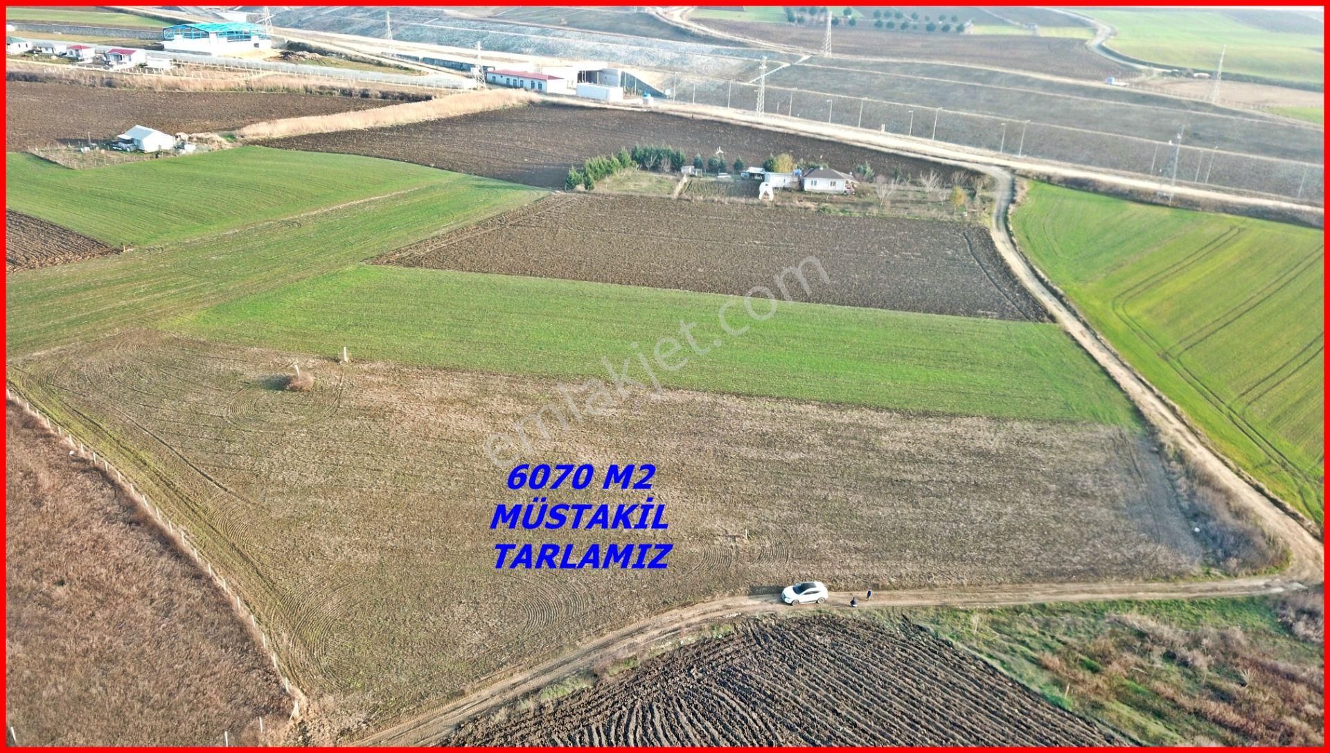 Çatalca Elbasan Mahallesinde 6070 M2 Tek Tapu Tarla - Görsel 6