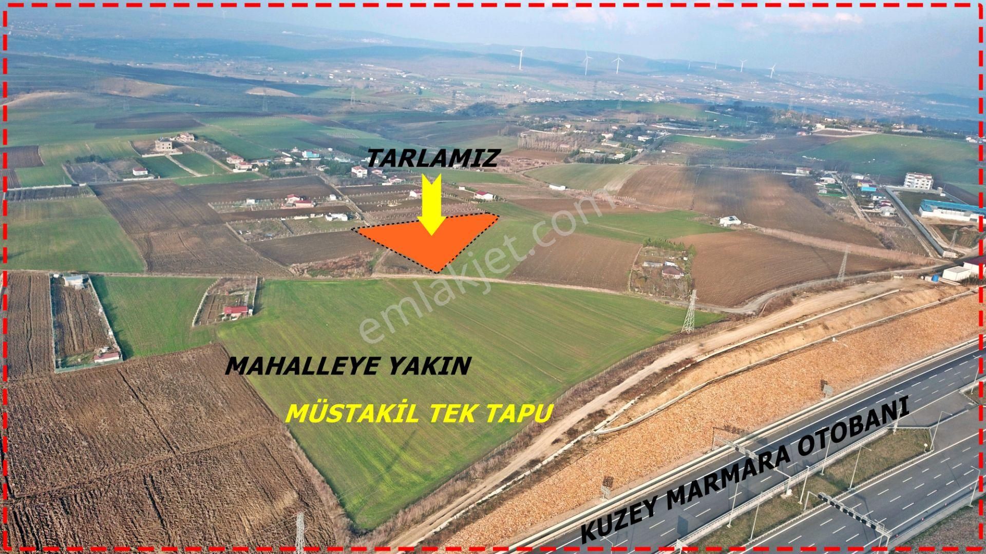 Çatalca Elbasan Satılık Tarla  ÇATALCA ELBASAN MAHALLESİNDE 6070 M2 TEK TAPU TARLA