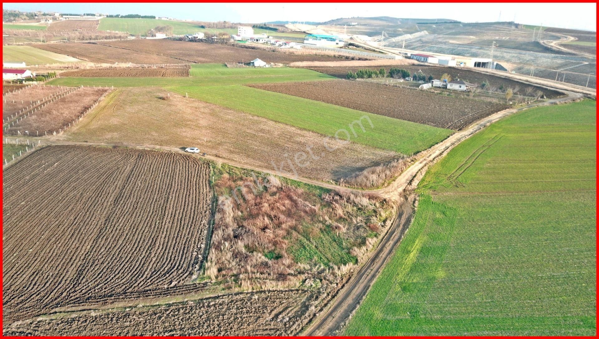 Çatalca Elbasan Mahallesinde 6070 M2 Tek Tapu Tarla - Görsel 8