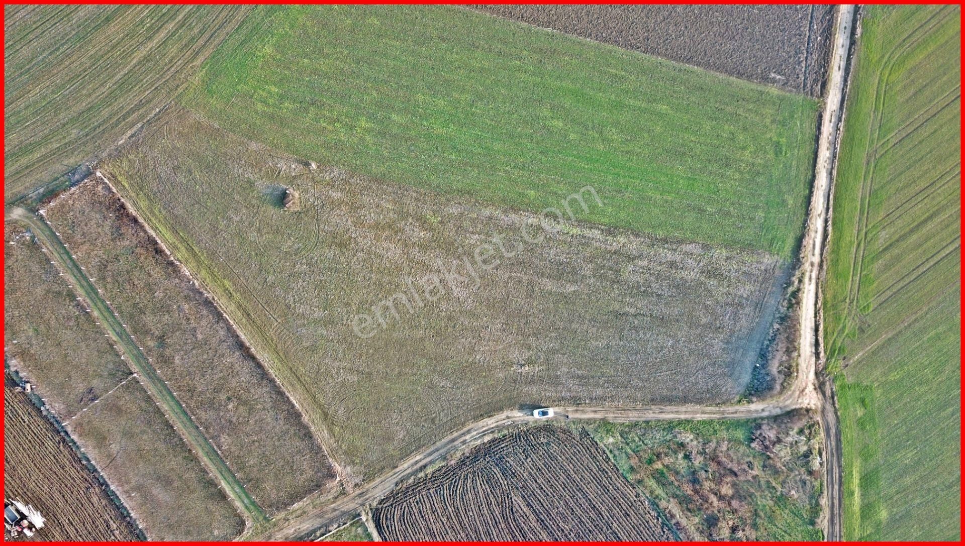 Çatalca Elbasan Mahallesinde 6070 M2 Tek Tapu Tarla - Görsel 9