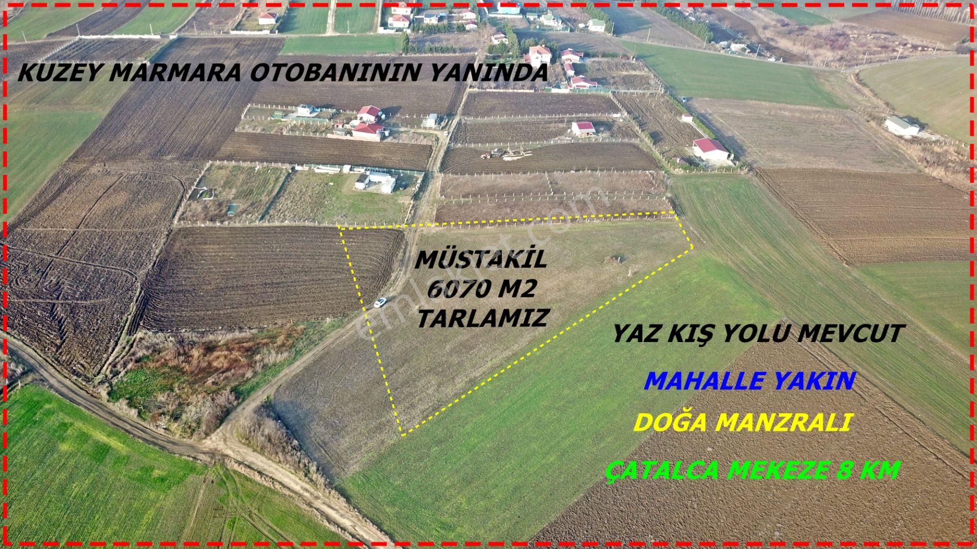 Çatalca Elbasan Mahallesinde 6070 M2 Tek Tapu Tarla - Görsel 4