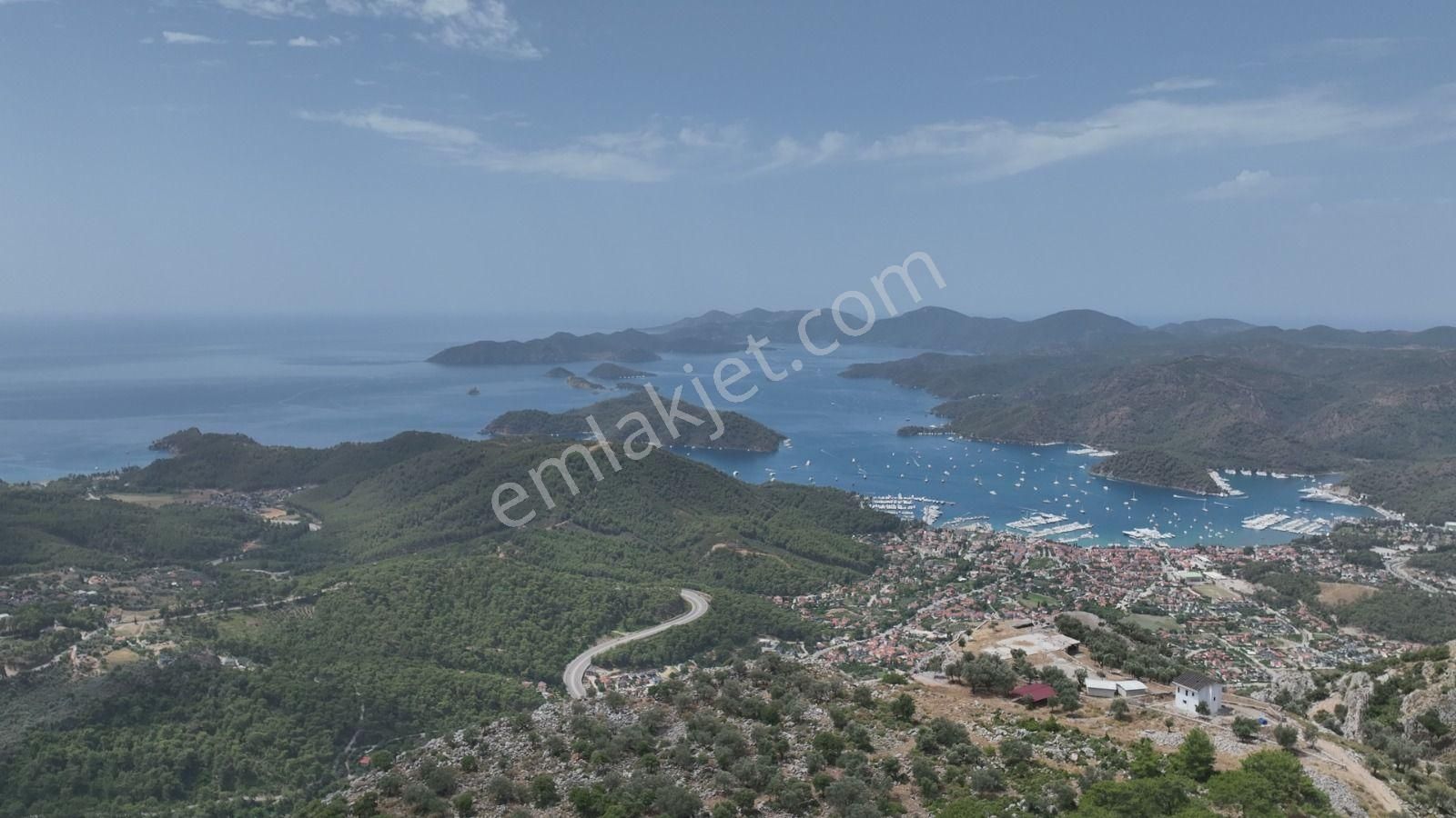 Goldhouse Dan Satılık Fırsat Göcek Te Zeytinlik - Görsel 11