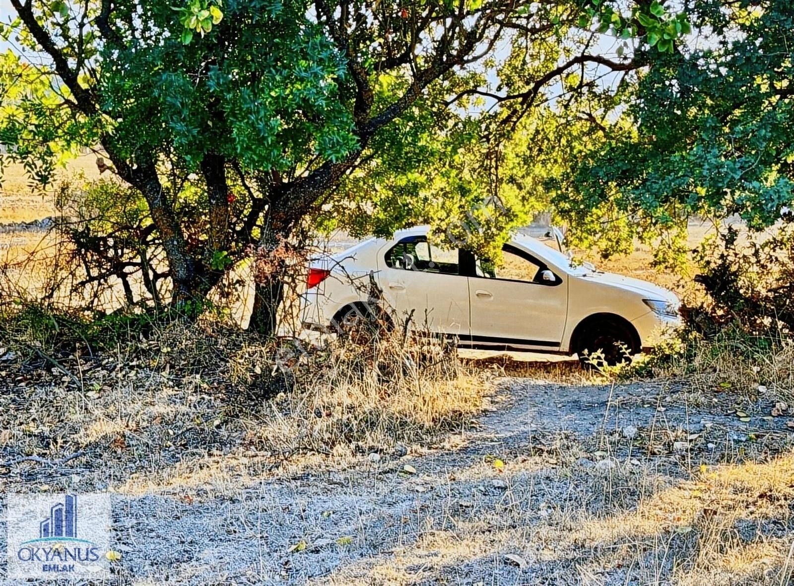 Yunusemre Osmancalı Satılık Tarla Osmancalı ' Da 2.100 M2 Tarla , Tek Tapu