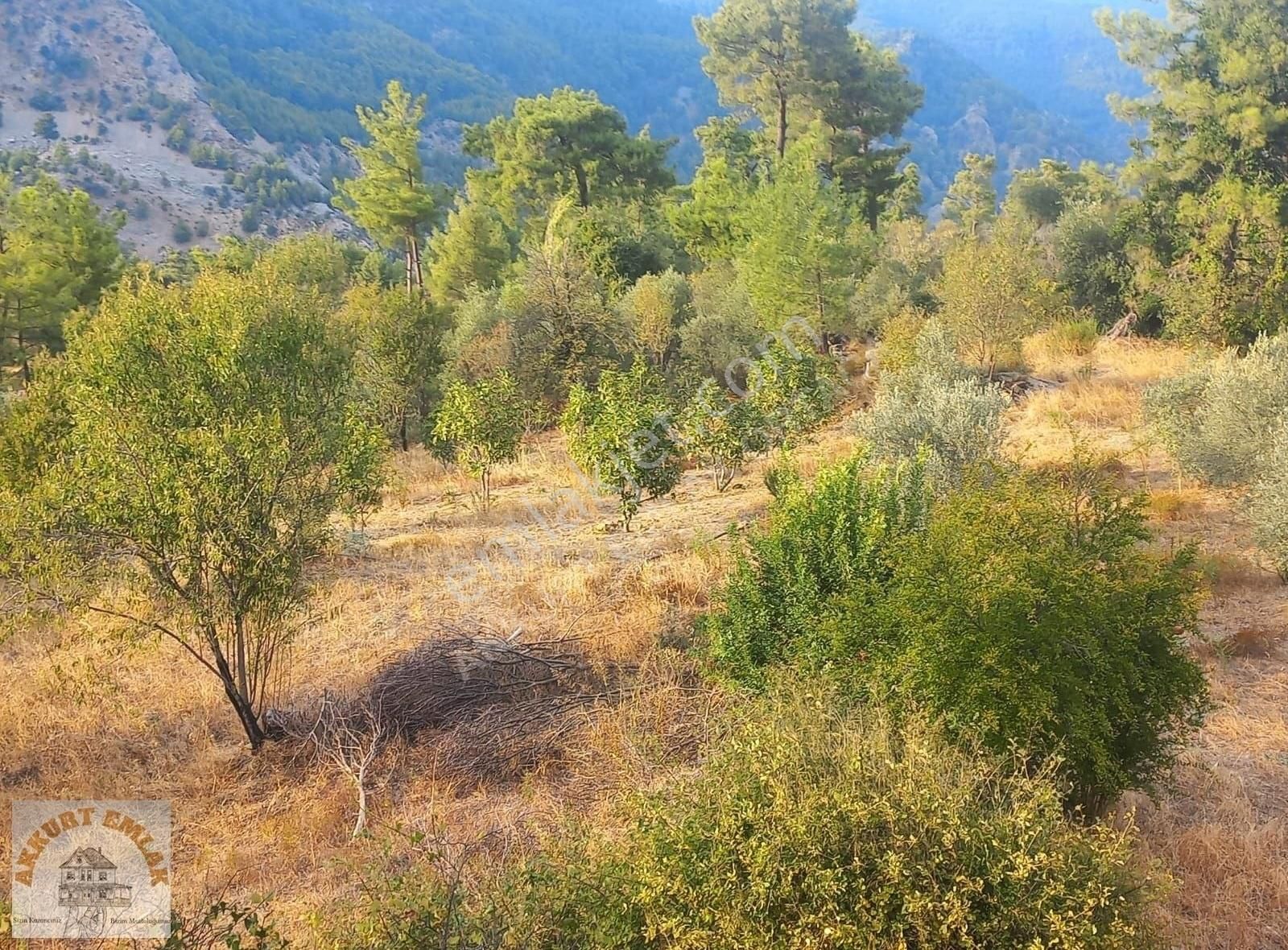 Dalaman Bozbel Satılık Tarla Akkurt Emlak'tan Dalamanda Satılık Tarla