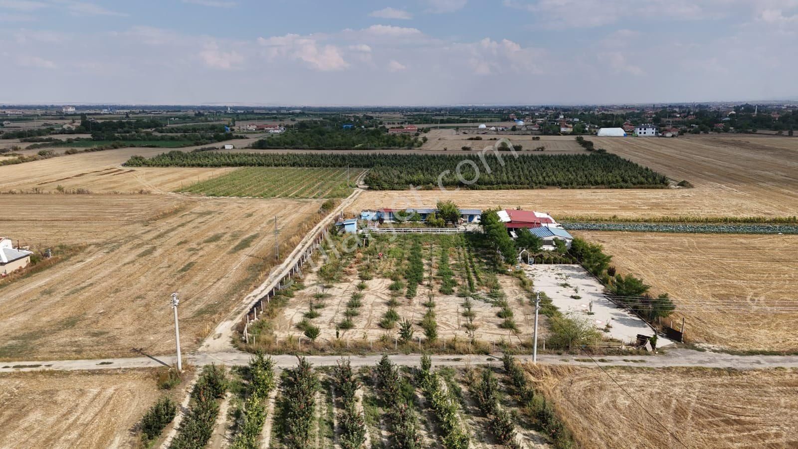 Akşehir Kozağaç Satılık Tarla Erden Emlaktan Satılık Muhteşem Bahçe