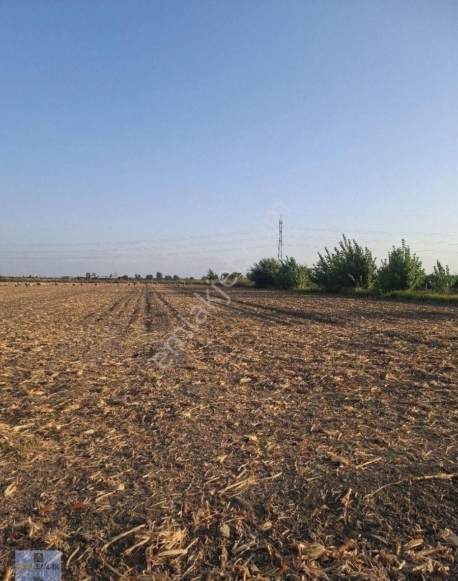 Satılık Kelepir Tarla 9.850 M² × 1.750 Tl M² Fiyatı = 17.237.500 Tl'dir .adana Yüreğir Bahçelievler - Görsel 6