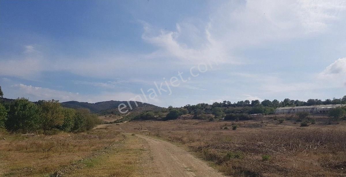 Tekirdağ Süleymanpaşa Satılık Müstakil İşyeri Tekirdağ Yakın köyde koyun çiftliği