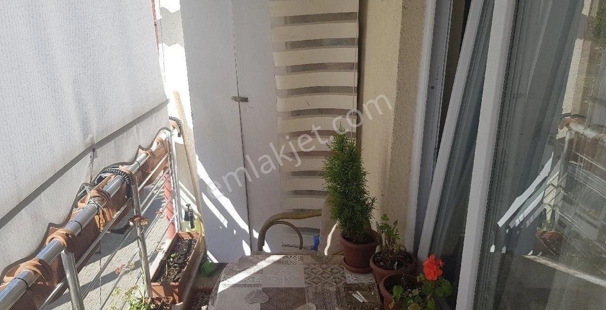 Tekirdağ Altınova'da Yeni Daire - Görsel 15