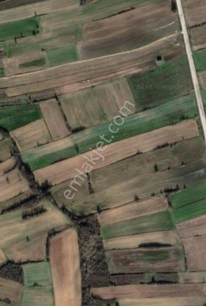 Kırklareli Pehlivanköy İlçesi Yeşilova Köyünde 1.850 M2 Satılık Müstakil Tarla - Görsel 3