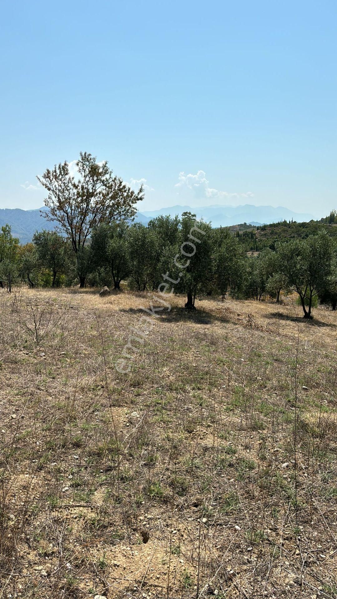 Asya Evim Emlaktan Isparta Eğirdir Aşağı Gökdere De Satılık Tarla