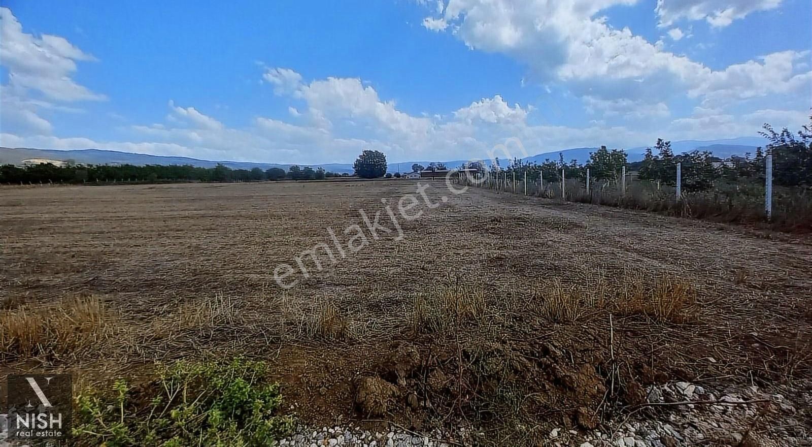 İnegöl Süpürtü 'de Çaylar Mevkii Satılık 5157m2 Tarla - Görsel 4