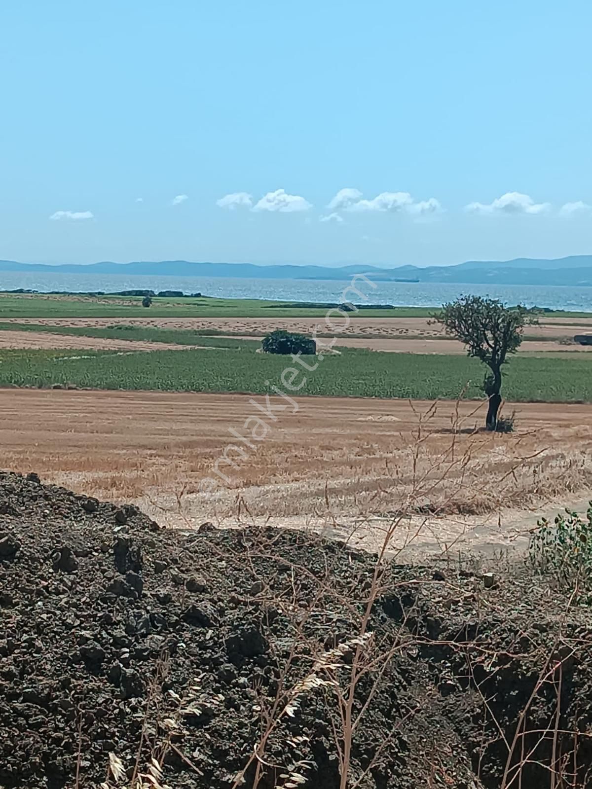 Gelibolu Bolayır Köyü (Fevziçakmak) Satılık Tarla Çanakkale Gelibolu bolayır köyünde acil satılık arsa villa arsası 