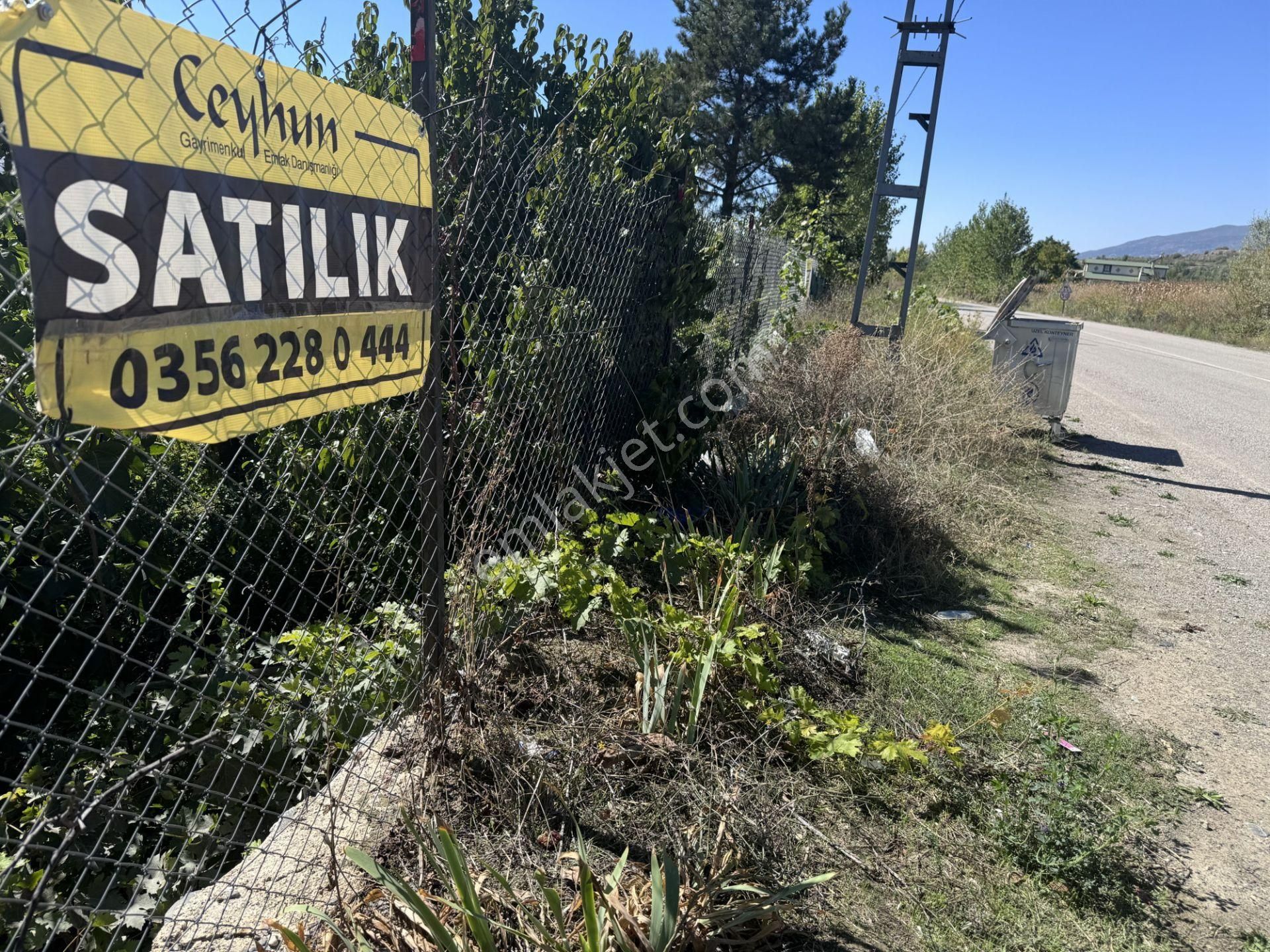 Tokat Merkez Emirseyit Bld. (Bahçelievler) Satılık Tarla  EMİRSEYİT'TE TEK MÜSTAKİL TAPULU ANA YOLA 1 PARSEL İÇERİDE CEVİZ