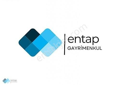 Oğuzeli Direkli Satılık Zeytinlik ENTAP GAYRİMENKUL DEN OĞUZELİ DİREKLİ BÖLGESİNDE ZEYTİNLİK