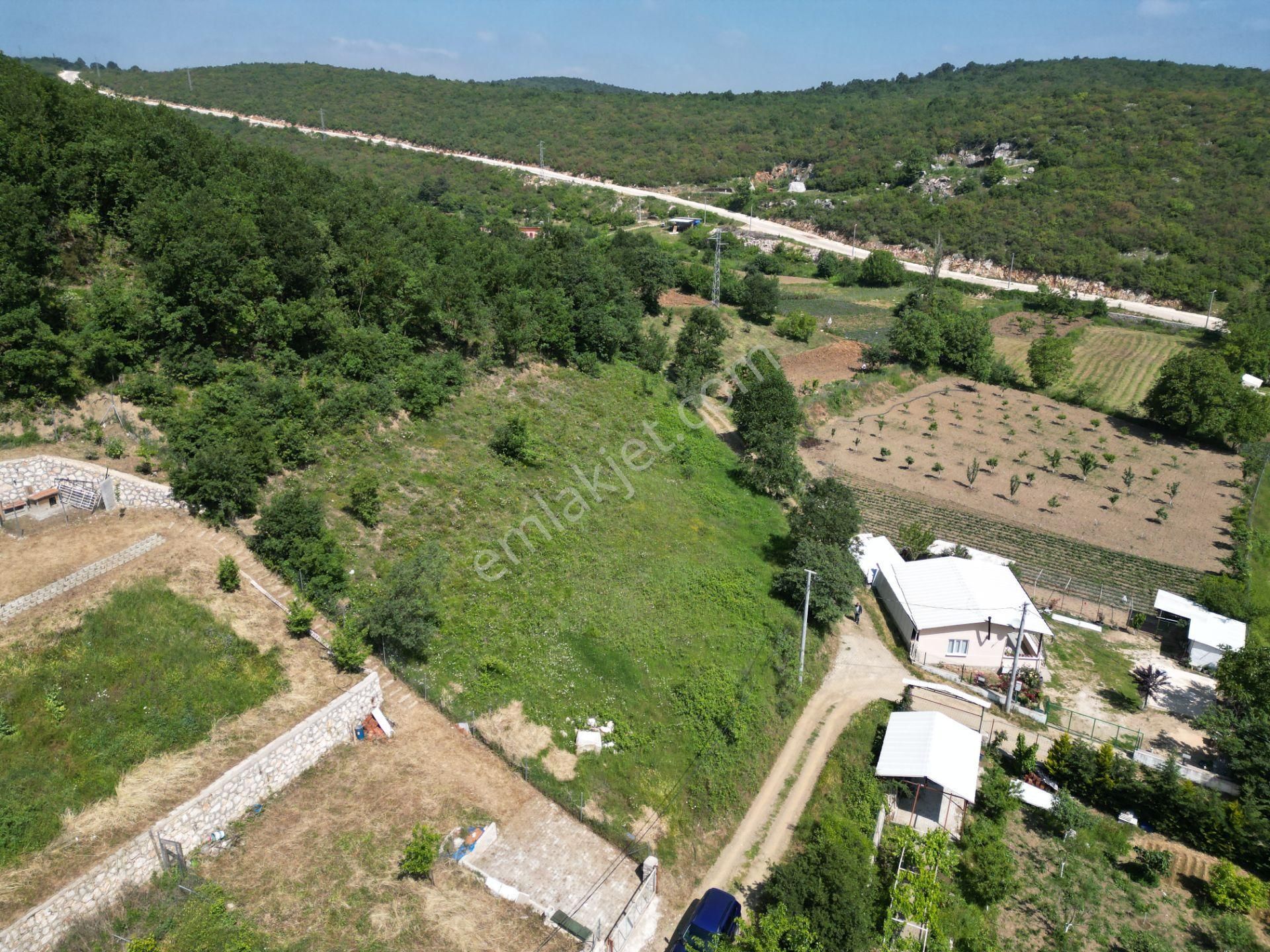 Nilüfer İnegazi Satılık Tarla  İNEGAZİ'DE YOLA CEPHE 2400 M2 TARLA