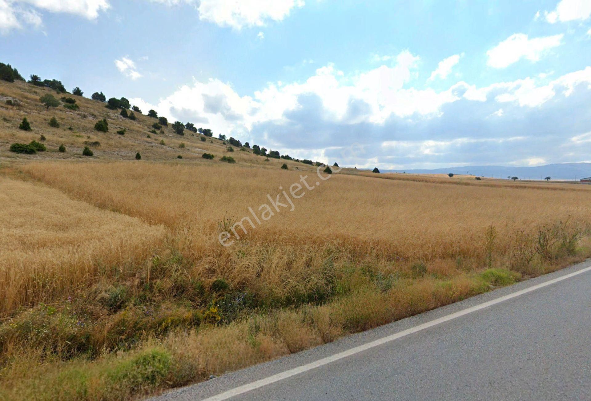 Kütahya Merkez İhsaniye Köyü Satılık Tarla  ASFALTA CEPHE 2831 m2 SATILIK TARLA