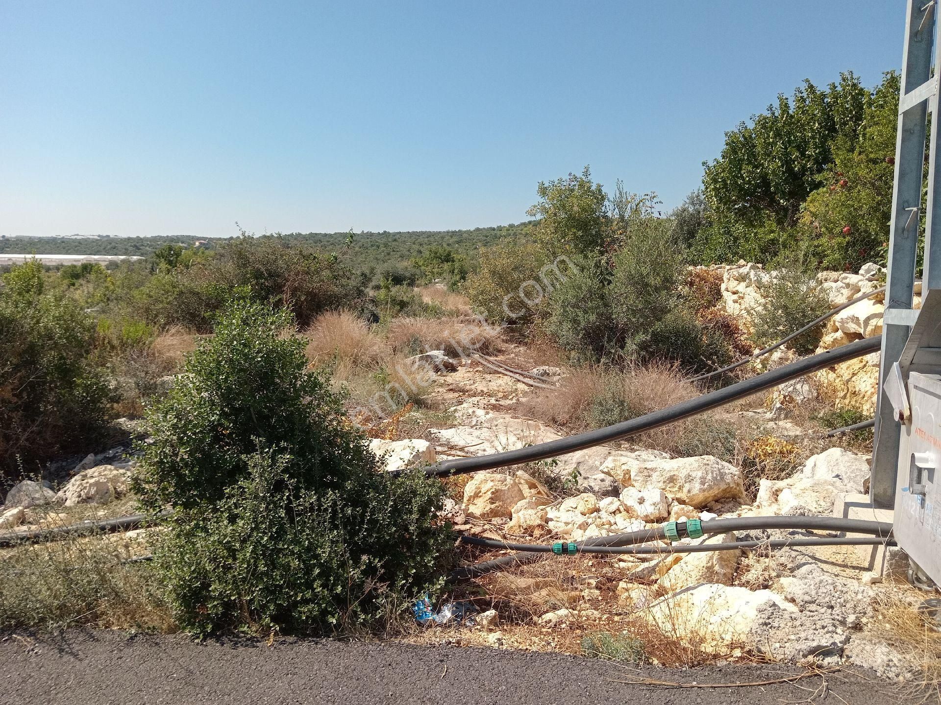 Erdemli Koyuncu Satılık Tarla  MERSİN ERDEMLİ KOYUNCU'DA 1632 M.KARE DENİZ MANZARALI SATILIK TARLA