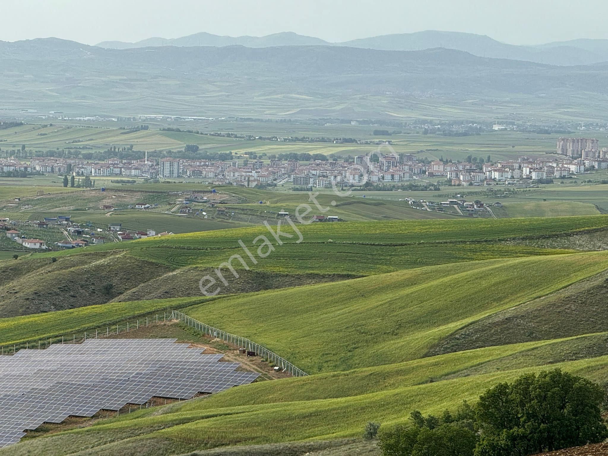 Akyurt Karacalar Satılık Bağ & Bahçe 