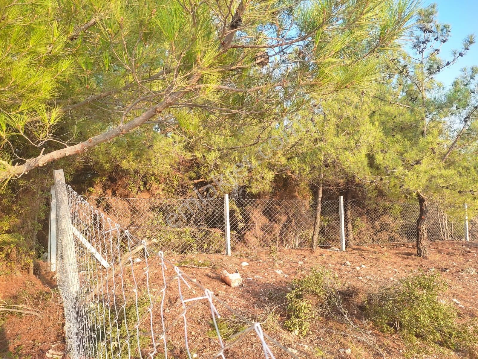 Körfez Manzaralı Damlacık Yaylada Tapulu - Görsel 12