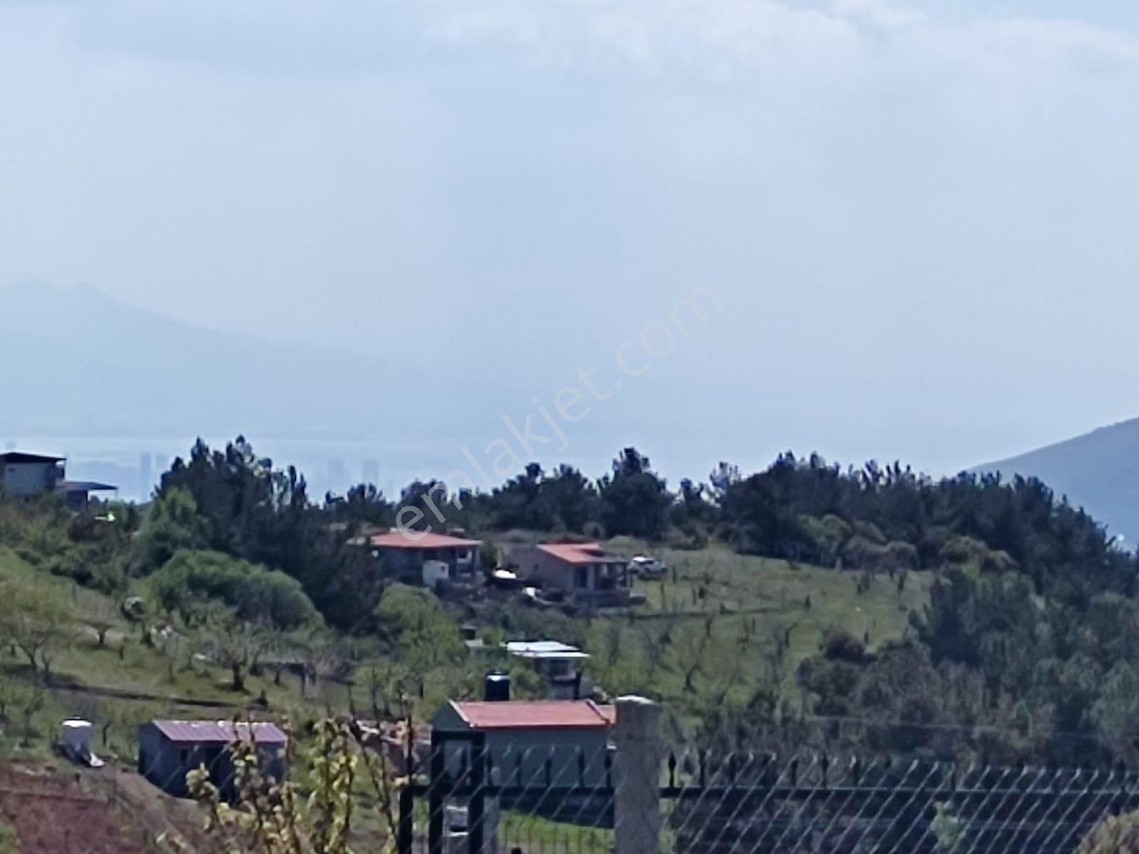 Körfez Manzaralı Damlacık Yaylada Tapulu - Görsel 17