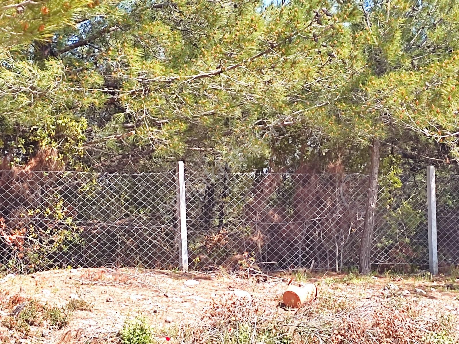 Körfez Manzaralı Damlacık Yaylada Tapulu - Görsel 22