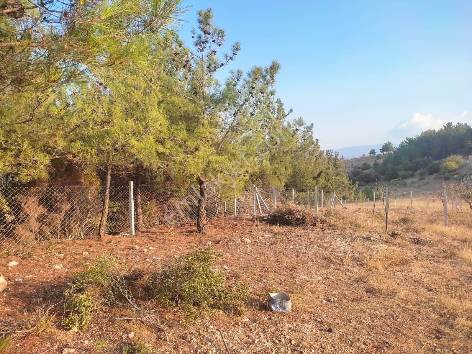 Körfez Manzaralı Damlacık Yaylada Tapulu - Görsel 8